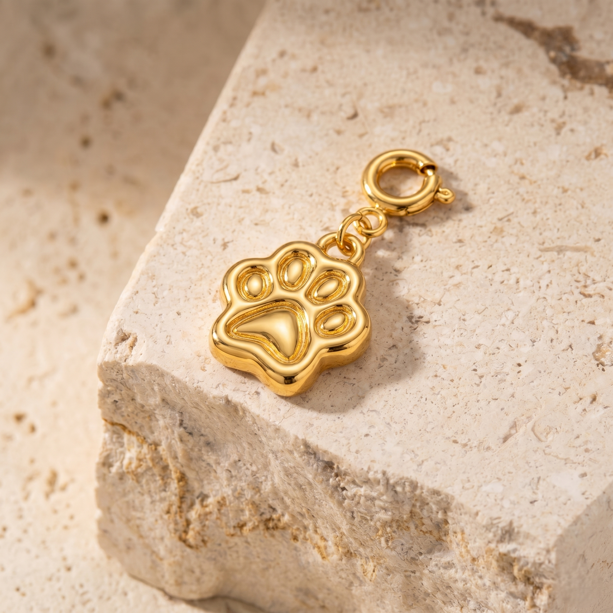 Paw Charm