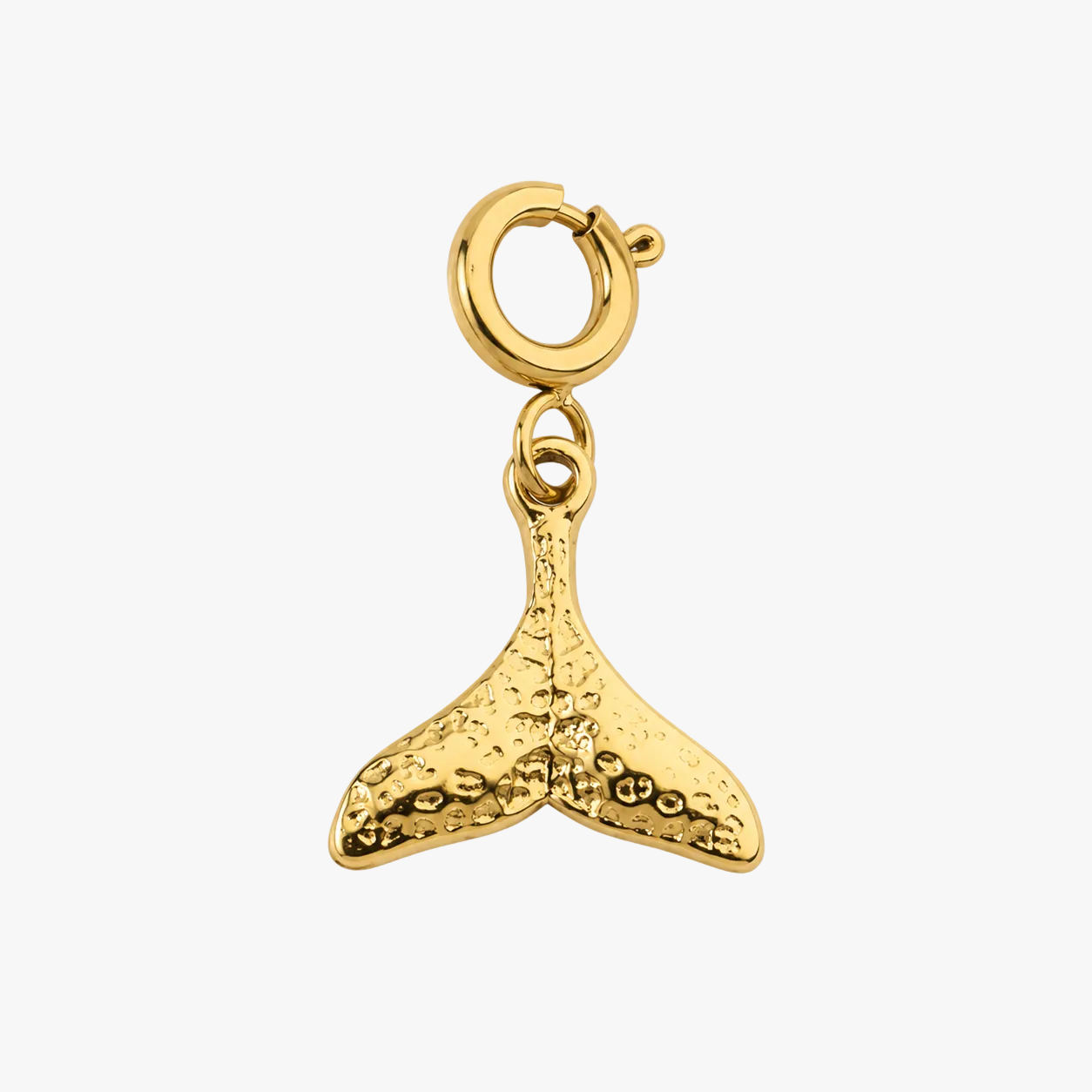 Vayana Charm