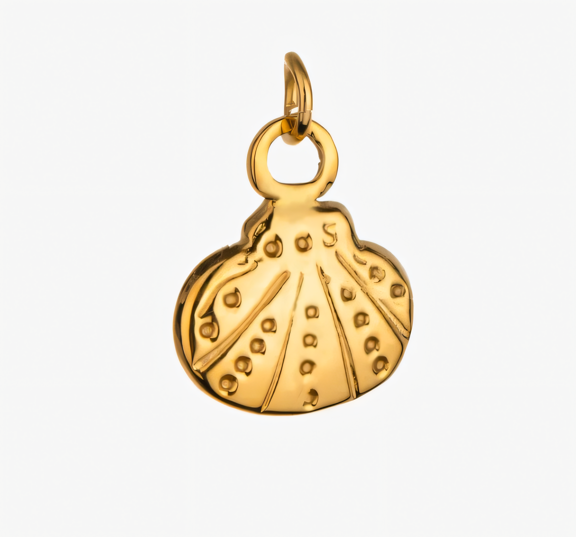 Shell Charm