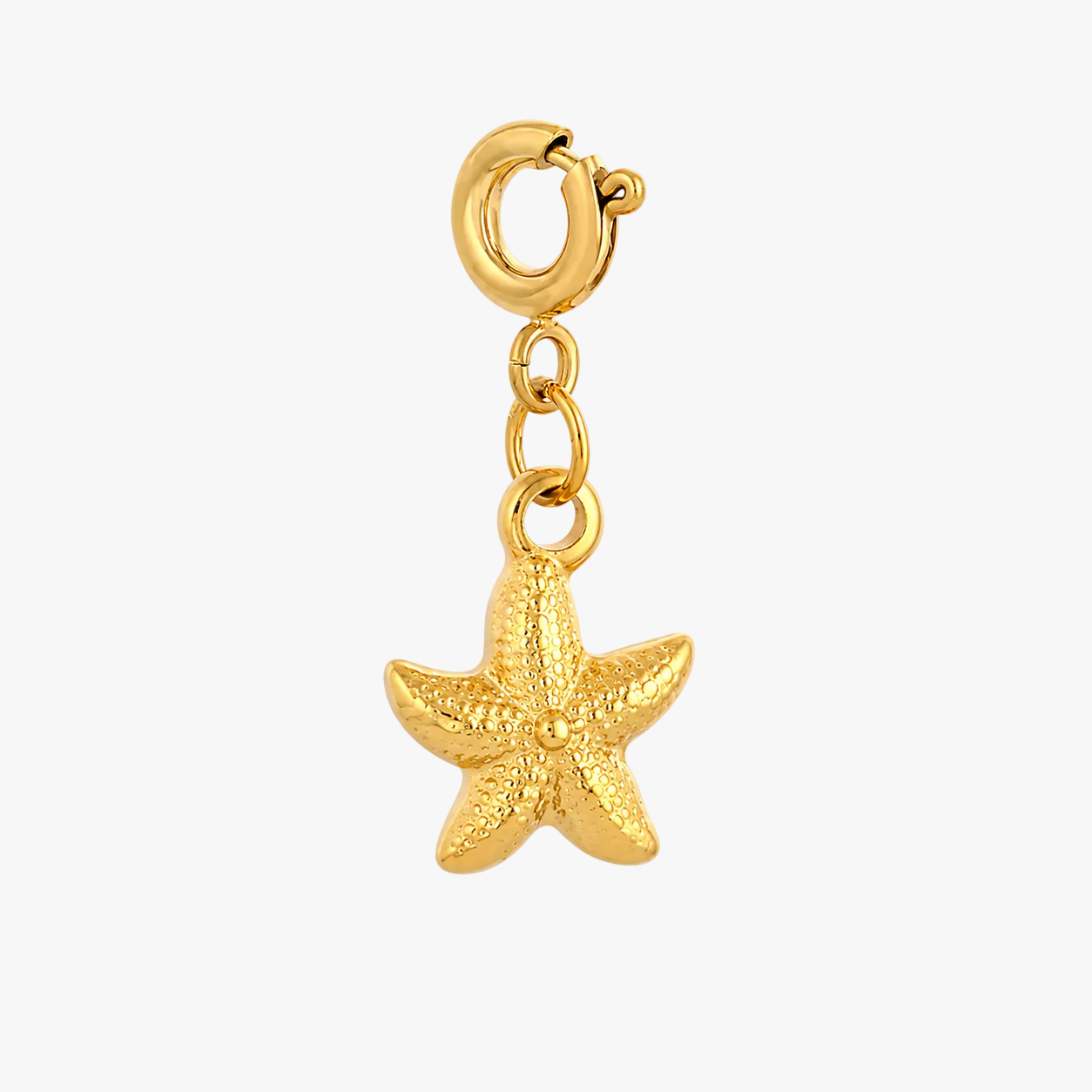 Aria Charm