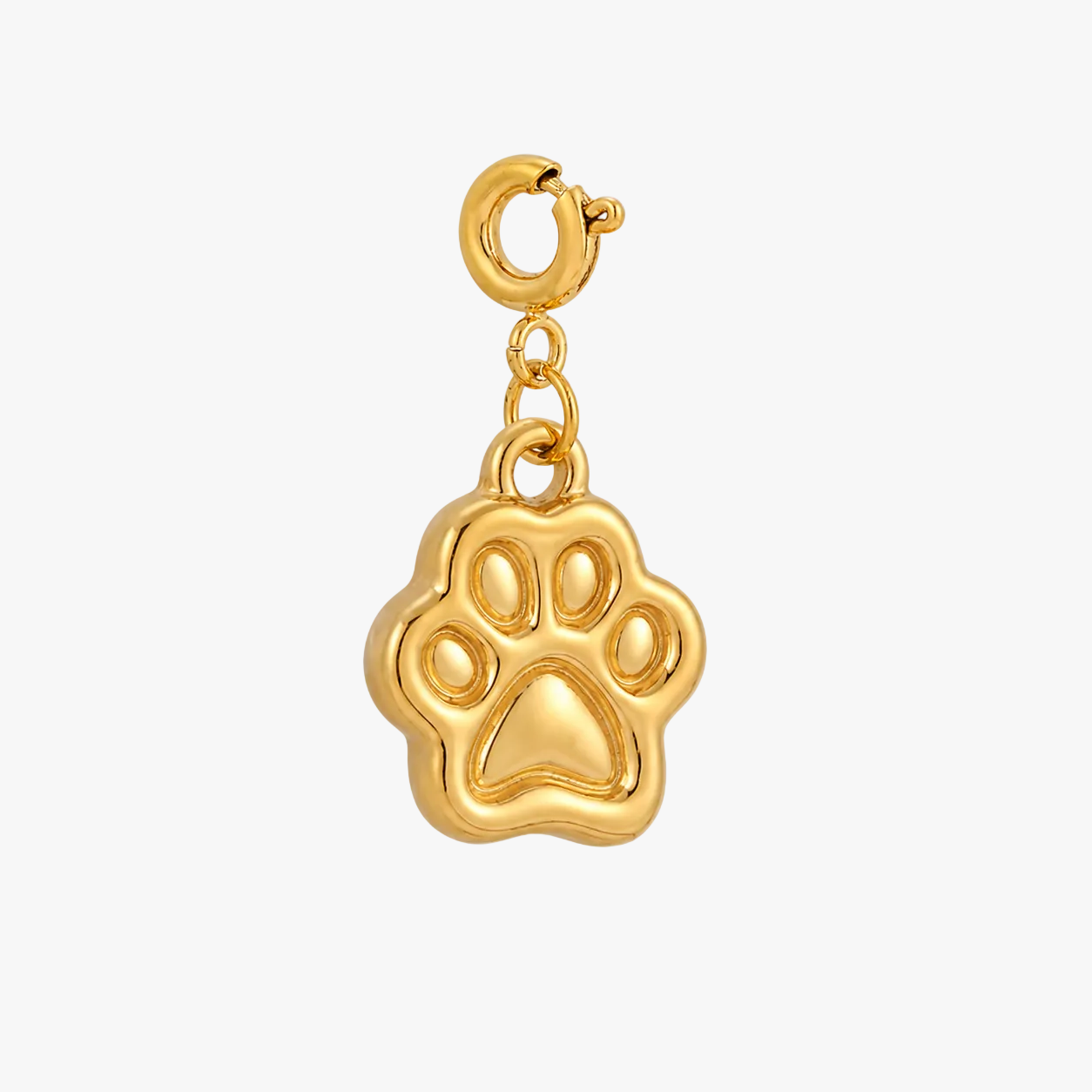 Paw Charm