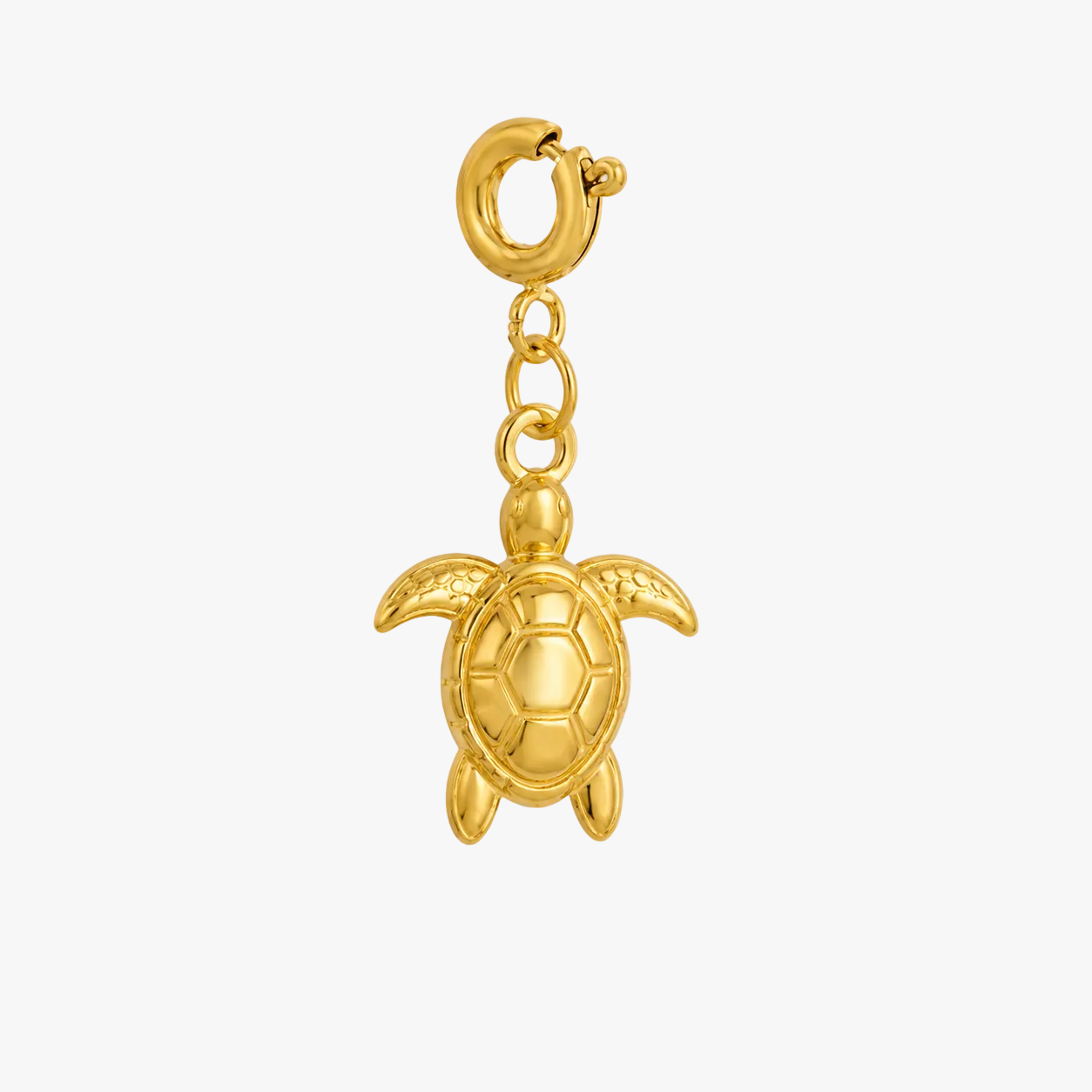 Turtle Charm